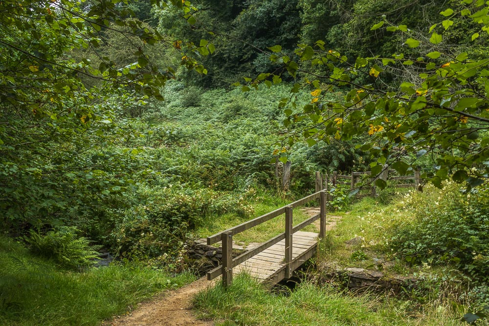 Stoke Ford